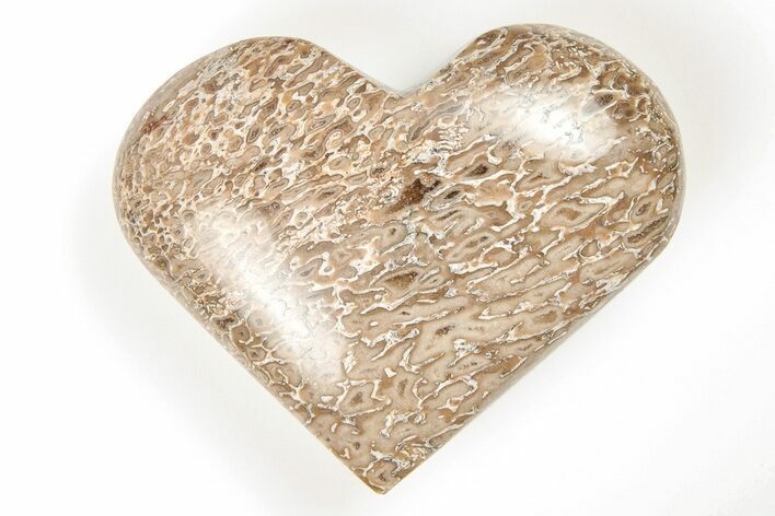 Polished Dinosaur Bone (Gembone) Heart - Morocco #198490